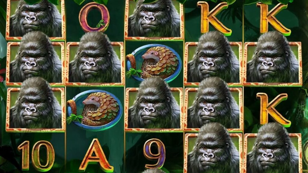 Gorilla Kingdom slot gameplay
