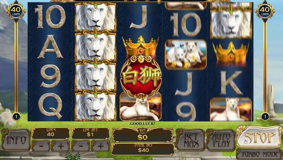 White king gambling game overview