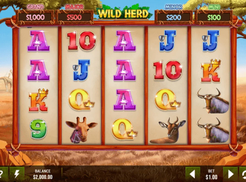 Wild Herd slot gameplay (spinning the reels)