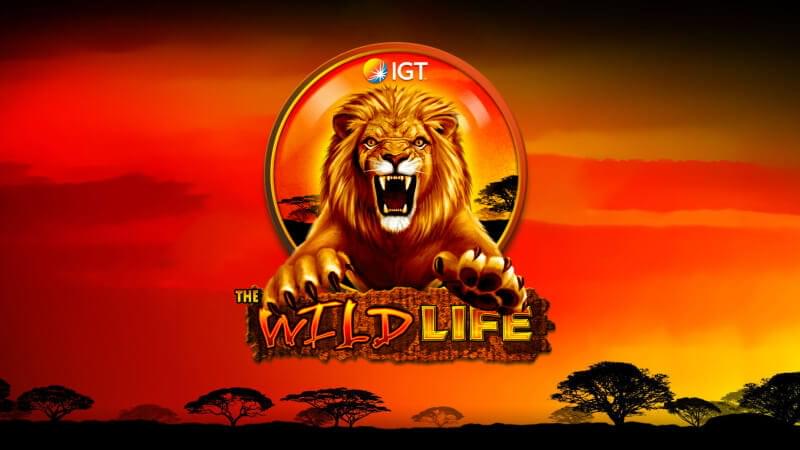 The Wild Life review