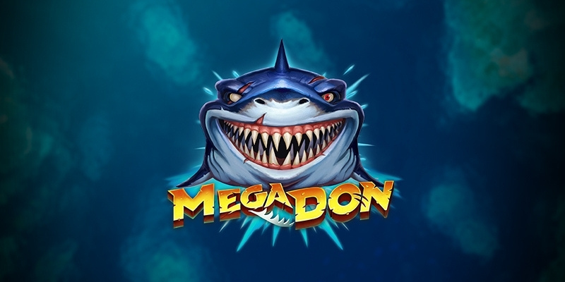 Informații despre sloturile Mega Don