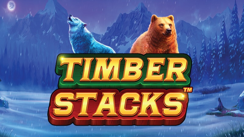 timber stacks Rezension