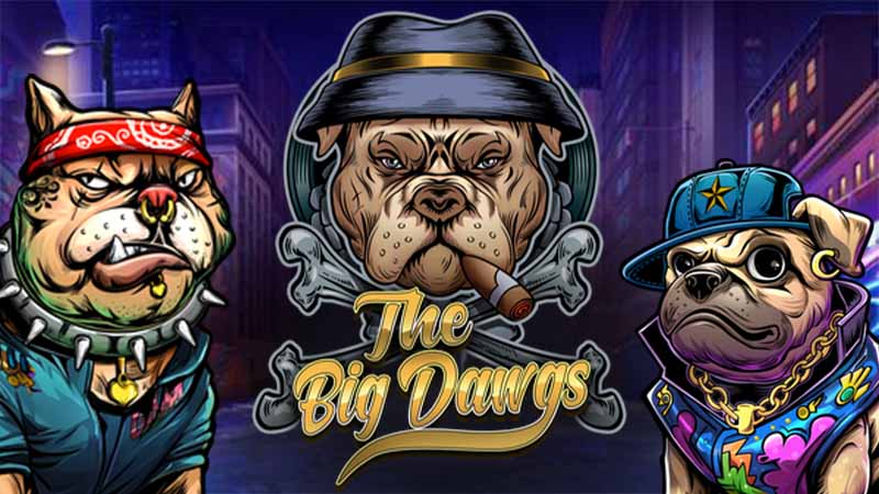 la revue des the big dawgs
